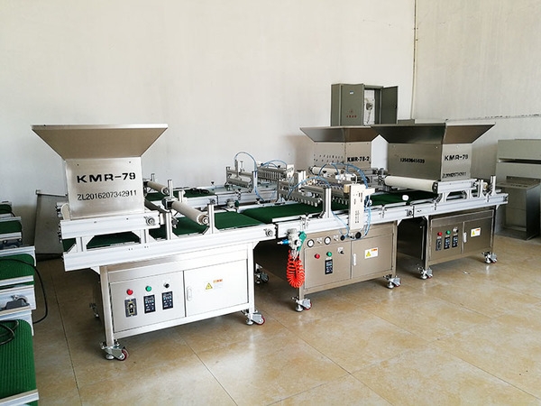 育苗穴盘播种机